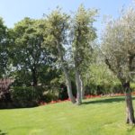 realizzazione11