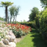 realizzazione16