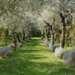realizzazione22